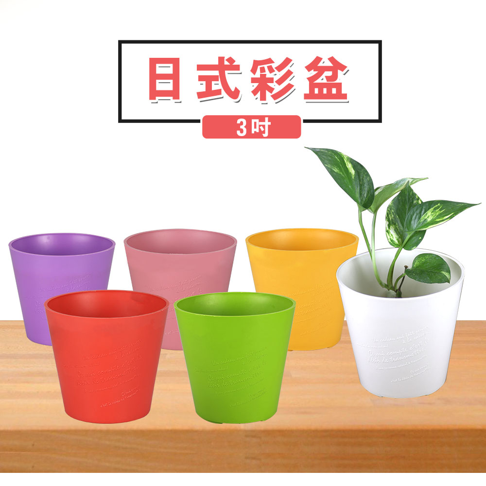 E320 3吋日式彩盆