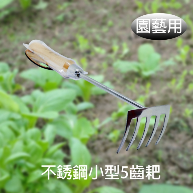 不銹鋼小型5齒耙