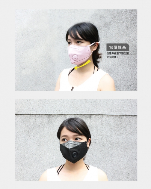 AOK四合一PM2.5活性碳口罩(1包2入)-L