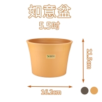 E312 5.5吋如意盆