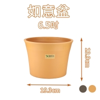 E313 6.5吋如意盆